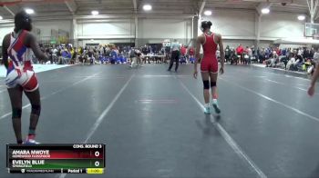 135 lbs Cons. Round 3 - Evelyn Blue, Springfield vs Amara Nwoye, Homewood Flossmoor