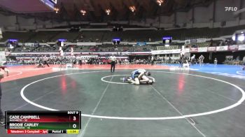 165 lbs Quarters & Wb (16 Team) - Cade Campbell, Nazareth vs Brodie Carley, Woodgrove