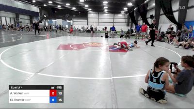 43 kg Consi Of 4 - Alliya Walker, Team VA vs Madalyn Kramer, PA West Pink