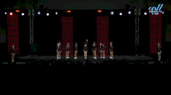 GymTyme Illinois - Clique [2025 L5 Junior Day 2] 2025 ASC King of the Jungle Schaumburg Showdown