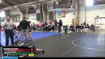 88 lbs Round 1 (6 Team) - Dominic Bozanic, PA Alliance Blue vs Lincoln Rohr, Team 922