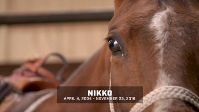 Tyson's Durfey's Nikko: April 4, 2004 To November 23, 2018
