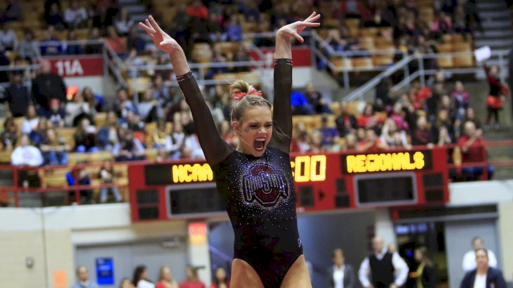 2019 Iowa at Ohio State Big Ten Women's Gymnastics News FloGymnastics