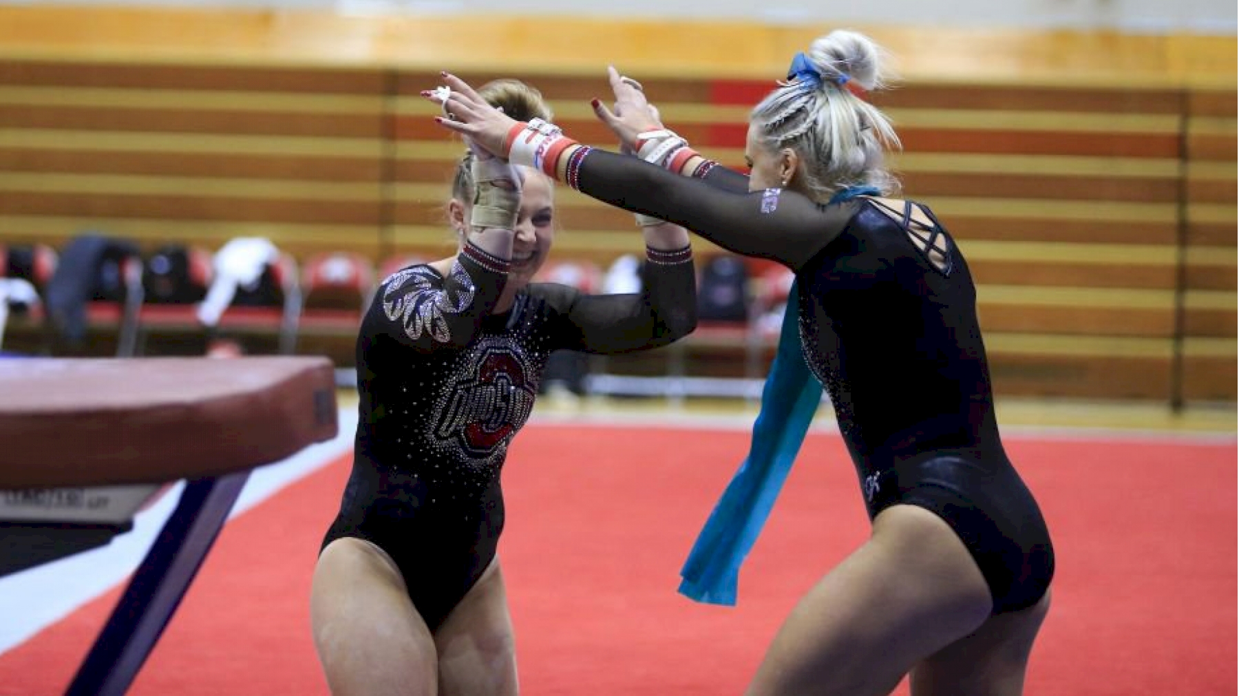 2019 Bowling Green at Ohio State Big Ten Women's Gymnastics Videos