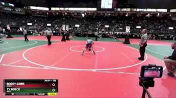 102 lbs Semifinal - Bodey Gibbs, ROGA vs Ty Bosco, ARC3