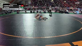 3A 175 lbs Quarterfinal - Eli Noah, Tri-Valley vs Tannon Nelson, Aberdeen