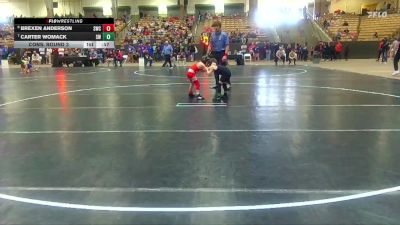 45 lbs Cons. Round 3 - Carter Womack, Swarm Wrestling vs Brexen Anderson, Seahawks Wrestling Club