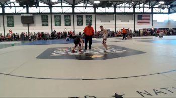 82-89 lbs Round 1 - Michael Tasnic, Force Elite vs Vincent Englese, St.Charles Wrestling Club