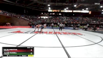 138 lbs Cons. Round 1 - Kai Blumenthal, Douglas vs Oliver Russell, Chiawana