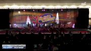 Pro Sport - Wild Ones [2025 L1 Youth - D2 Day 1] 2025 Spirit Cheer Dance Grand Nationals & Cheer Nationals