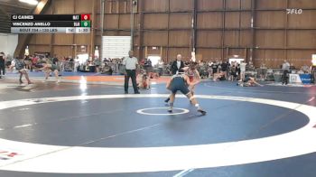 130 lbs Final - Cj Caines, Mat Assassins vs Vincenzo Anello, Blair Academy