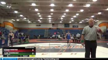 133 lbs Quarterfinal - Gabe Rodriguez, Concordia vs Ethan Harsted, Wheaton