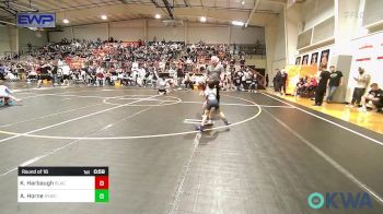 49 lbs Round Of 16 - Killian Harbaugh, Black Fox Wrestling Club vs Abel Horne, Springdale Youth Wrestling