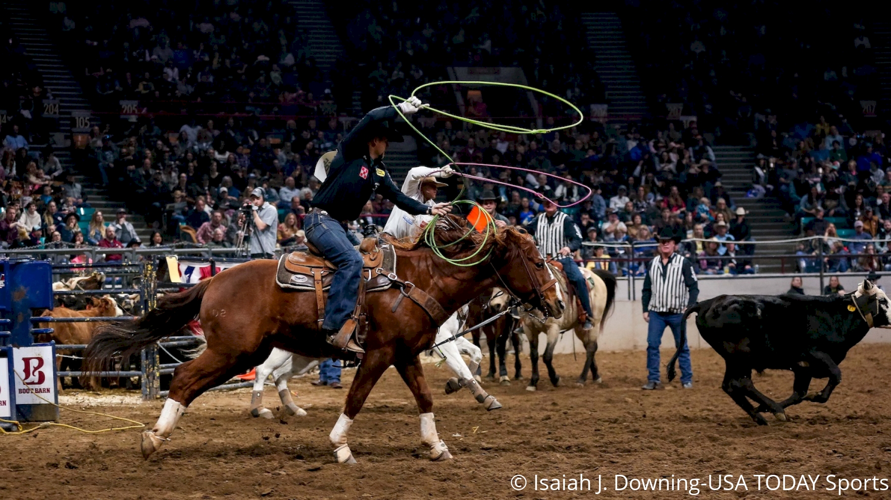 2019 National Western Stock Show & Rodeo Denver News FloRodeo
