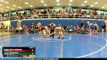 160 lbs Semis (4 Team) - Chris Tietz-Herrera, Portage vs Mark Ferguson, Indiana Creek