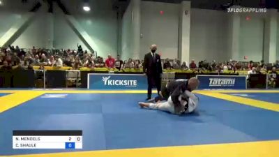 NATHAN MENDELSOHN vs CHAD SHAULE 2021 World Master IBJJF Jiu-Jitsu Championship