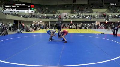110 lbs Cons. Round 1 - Quincy Fox, Riceville Wildcats vs Henry Metzler, De Pere Redbirds