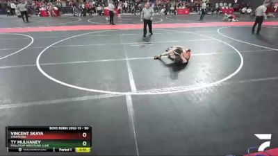 90 lbs Cons. Round 5 - Vincent Skaya, Stratford vs Ty Mulhaney, Mollitium Wrestling Club