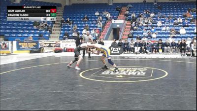 133 lbs 3rd Place - Liam Lawler, Bishop McDevitt vs Camden Olson, Derry Area
