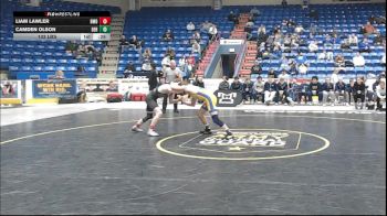 133 lbs 3rd Place - Liam Lawler, Bishop McDevitt vs Camden Olson, Derry Area