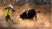 What is Freestyle Bullfighting? A Guide To The Extreme Sport