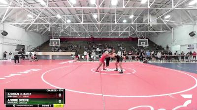 174 lbs Quarterfinal - Andre Doeve, Rio Hondo College vs Adrian Juarez, Bakersfield College