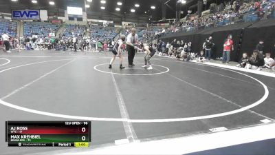 96 lbs Cons. Round 1 - Max Krehbiel, Brawlers vs Aj Ross, WTC