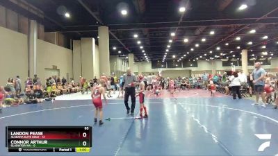 65 lbs Round 1 (6 Team) - Connor Arthur, Gladiator WA vs Landon Pease, Alabama Elite Gold