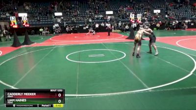 180 lbs Quarterfinal - Cadderly Meeker, NBHA vs Liam Haines, MON1