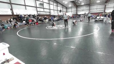 110 lbs Quarterfinal - Maisey Blaser, Wasatch vs Elise Millsap, Desert Hills