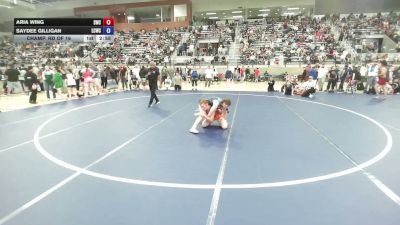 110 lbs Champ. Rd Of 16 - Aria Wing, Steelclaw Wrestling Club vs Saydee Gilligan, Lewis County Wrestling Club