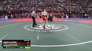 D2-132 lbs Semifinal - Jaymin Salsberry, Beaver vs David McClelland, Col. DeSales