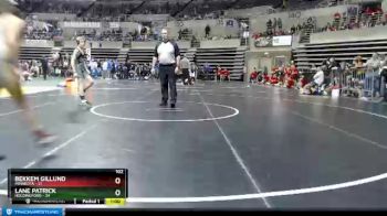 102 lbs Semis (4 Team) - Lane Patrick, Holdingford vs Bekkem Gillund, Minneota