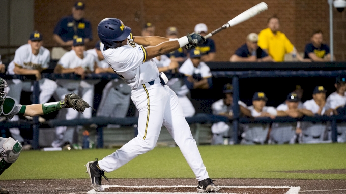 Michigan baseball.jpg
