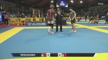 Tristan Aislan Miles vs Stefan Dabija 2026 IBJJF European NoGi