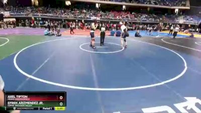 5A 165 lbs Semifinal - Efren Arizmendez Jr., Comal Smithson Valley vs Axel Tipton, Frisco Independence