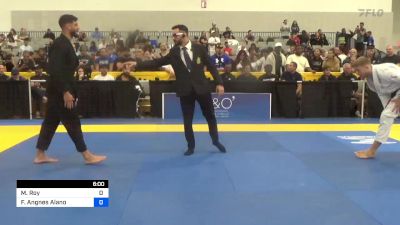 Michaël Roy vs Fábio Angnes Alano 2024 World Masters IBJJF Jiu-Jitsu Championship