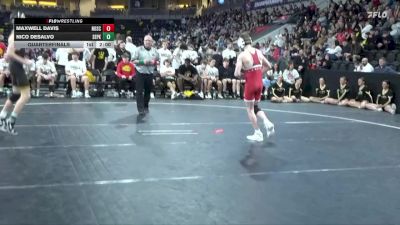 113 lbs Quarterfinal - Nico DeSalvo, Southeast Polk vs Maxwell Davis, North Scott