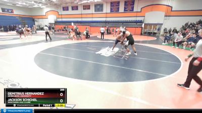 285 lbs Champ. Round 2 - Jackson Schichel, Wisconsin-Eau Claire vs Demitrius Hernandez, Heidelberg University