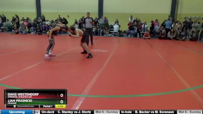 90 lbs Quarterfinal - Liam Prasnicki, Milbank vs Davis Westendorf, Immortal Athletics WC