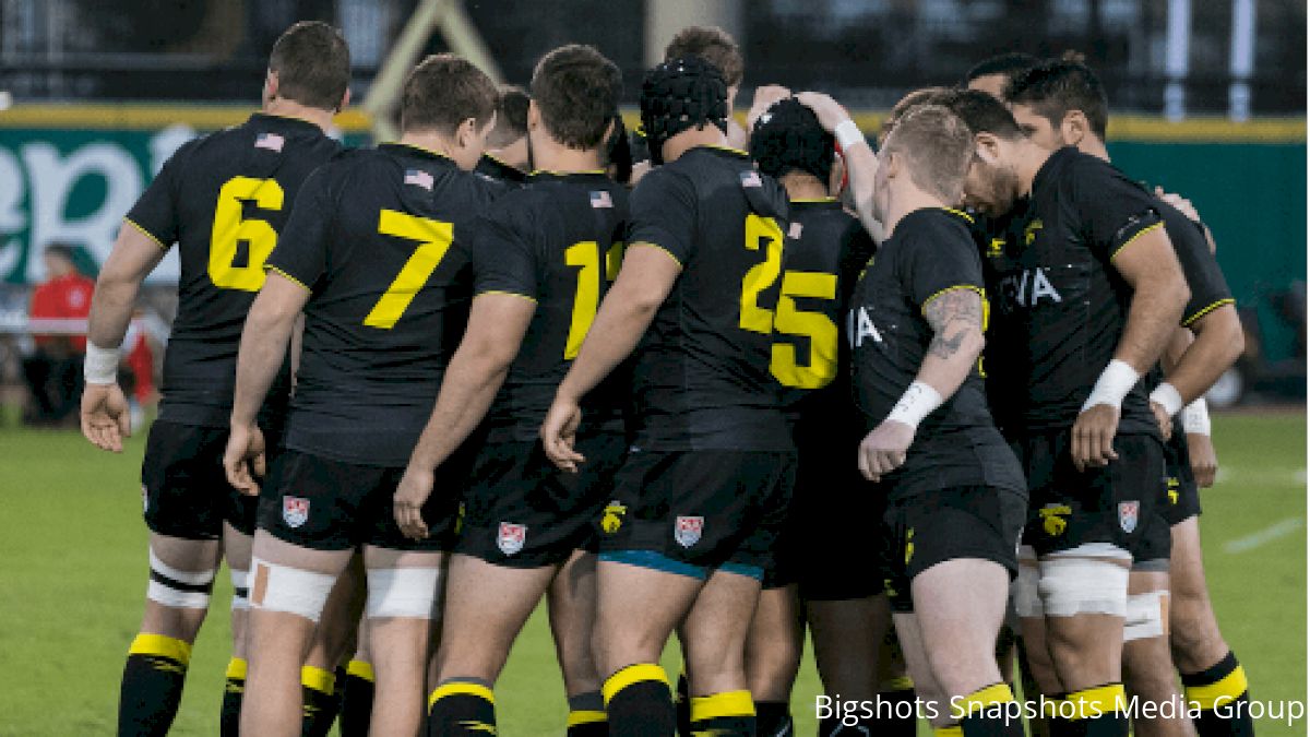 Sabercats Fall To Tasman, But Show Encouraging Signs