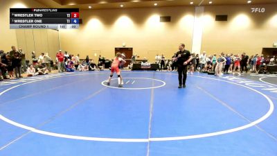 95-100 lbs Champ. Round 2 - Timi Coles, Montana vs Julia Duro, New York