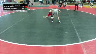 133 lbs Quarterfinal - Gavin Alexander, Central Methodist vs Logan Lopez, Grand View