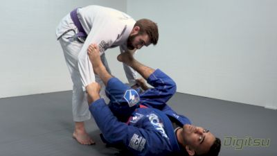 Edwin Najmi: Triangle Series -- Spider Guard Triangle