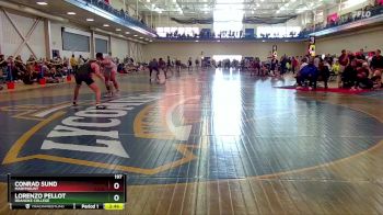 197 lbs Champ. Round 2 - Lorenzo Pellot, Roanoke College vs Conrad Sund, Marymount