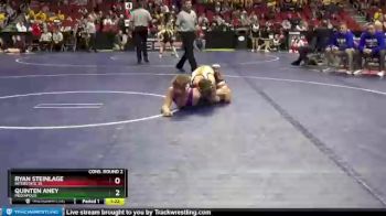 1A-138 lbs Cons. Round 2 - Quinten Aney, Mediapolis vs Ryan Steinlage, Interstate 35