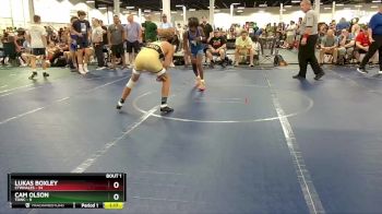 115 lbs Round 1 (4 Team) - Lukas Boxley, CTWHALES vs Cam Olson, TDWC