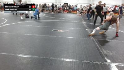 165 lbs Semifinal - Trey Gregory, Roundtree Wreslting Academy vs Tristan Mobley, C2X