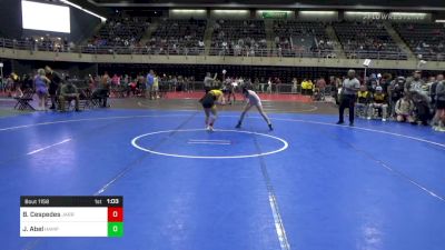 103 lbs Semifinal - Bryn Cespedes, Jarrettsville vs Julia Abel, Hampstead