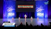 South Texas Strutters - Mini Elite Jazz [2025 Mini - Jazz - Small Day 2] 2025 NDA All-Star National Championship